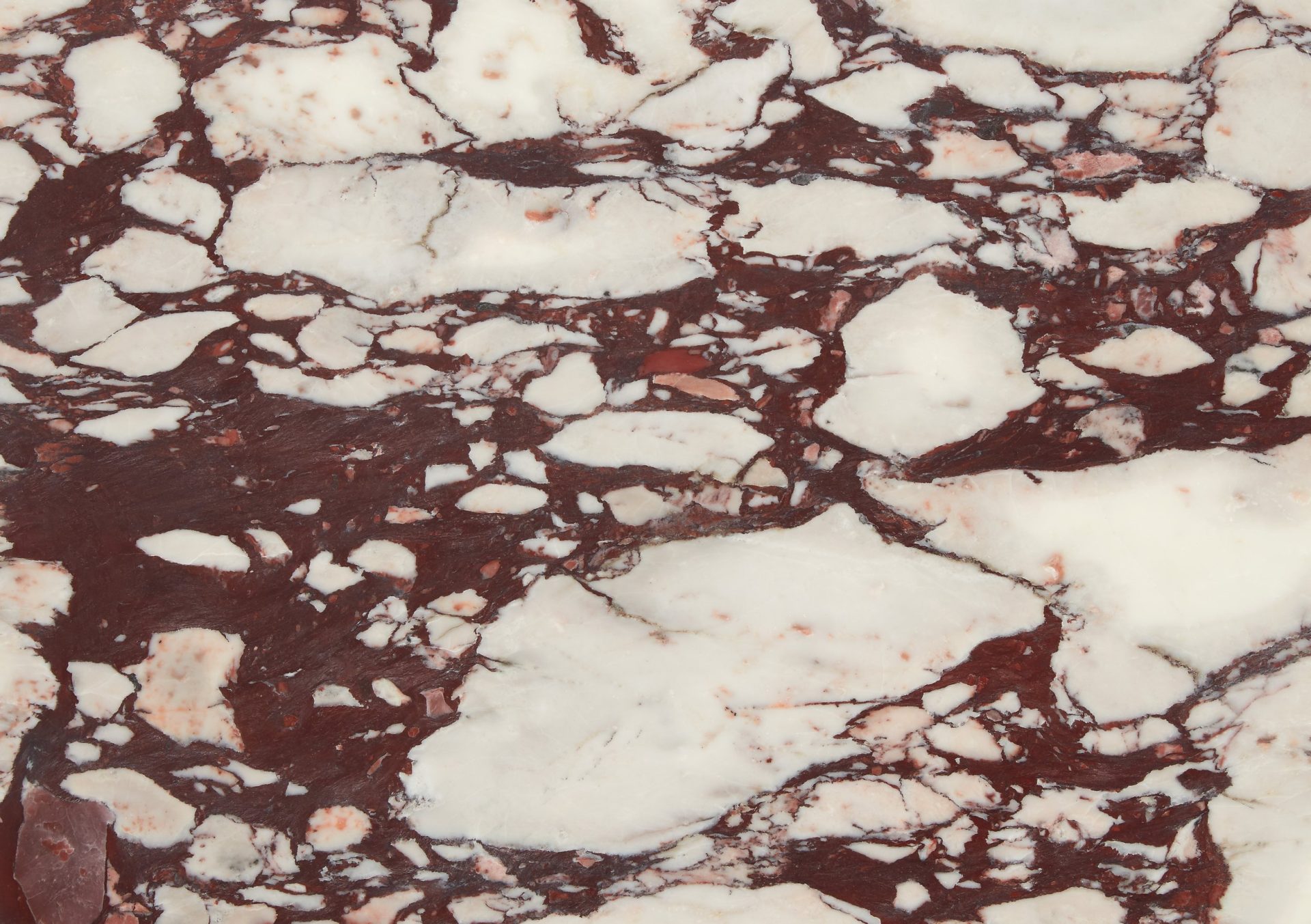 Calacatta Viola marble close-up